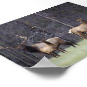 Aとそのハーレム ポスター (角)