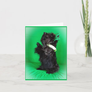 Aの賛美物 カード