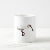 Aはアフリカ産スプーンビル用 コーヒーマグカップ (中央)