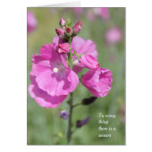 Aシーズンアンドタイム葵すべての行事 (正面)