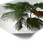 Aパームツリーフォトプリント フォトプリント            (角)