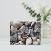 Aビーチ版はがき ポストカード (スタンド正面)