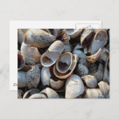 Aビーチ版はがき ポストカード (正面/裏面)