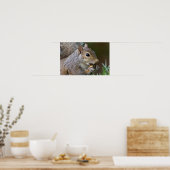 Aピーリングのナッツの雌リスのポスター ポスター (キッチン)