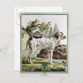 Aポインタ、'Histoireからのイラストレーション ポストカード (正面/裏面)