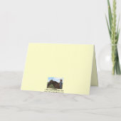 A女性のカーボーイリード – 西洋卒業 カード (裏面)