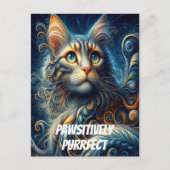 A猫の青い目の視線|過去記事 ポストカード (正面)