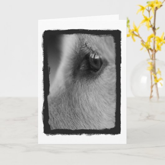 A考えカ遠くにード カード (黄色い花)