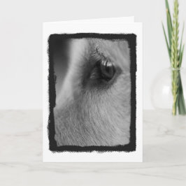 A考えカ遠くにード カード