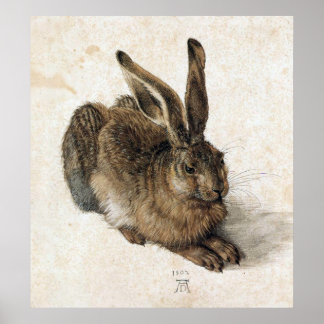 A若いウサギ – Albrecht Durer - c1502 ポスター