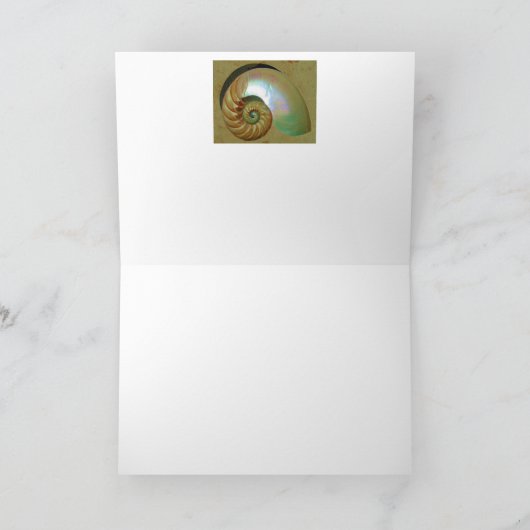 A09オウムガイの貝-感動的な引用文カード2 カード (内部)