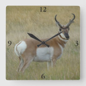 A1プロングホンアンテロープビッグバック スクエア壁時計 (正面)