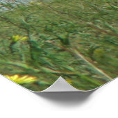 A10プロングルアンテロープとワイルドフラワー ポスター (角)