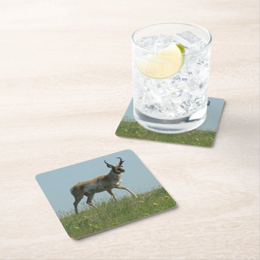 A10プロングルアンテロープバック スクエアペーパーコースター (インサイチュ)