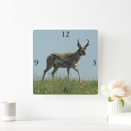 A10プロンコーンアンテロープ歩く投げ野花 スクエア壁時計 (ホーム)