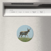 A10プロンコーンアンテロープ歩く投げ野花 マグネット (インサイチュ (食洗機))