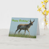 A10 Pronghornのカモシカの歩くは野生の花を投げました カード (黄色い花)