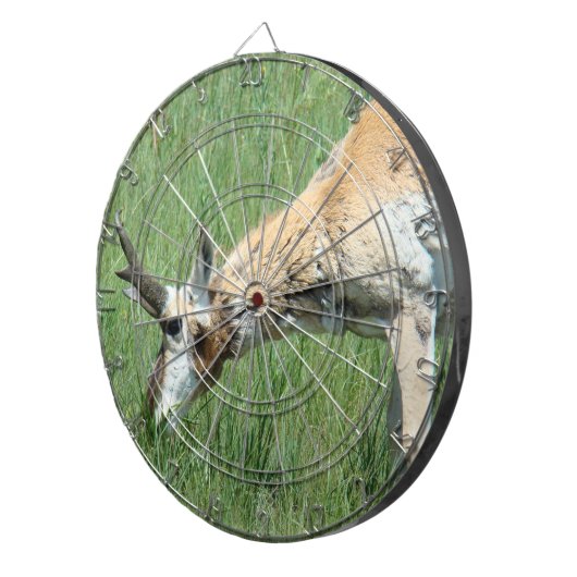 A11プロンコーンアンテロープバック放牧 ダーツボード (正面右)