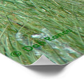 A11プロンコーンバック放牧 ポスター (角)