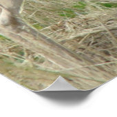 A12プロングルアンテロープバック ポスター (角)