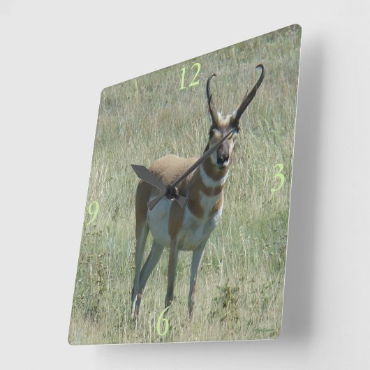 A13プロングホンアンテロープバック スクエア壁時計 (傾斜)