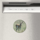 A13プロングルアンテロープビッグバック マグネット (インサイチュ (食洗機))