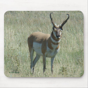 A13 Pronghornのカモシカの木びき台 マウスパッド