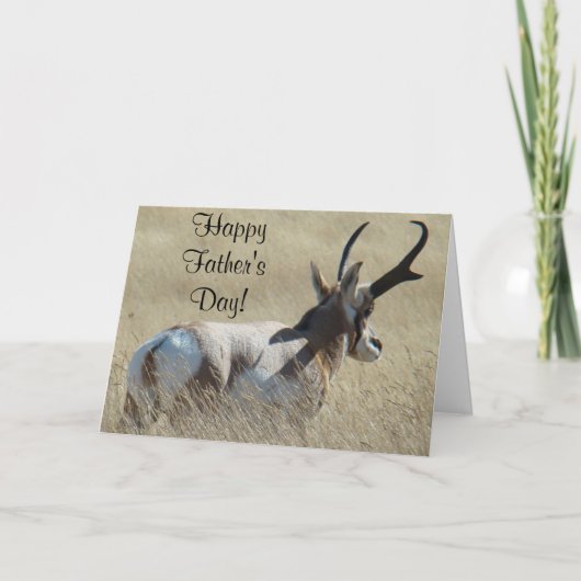 A14プロングホーンアンテロープサンシャインバック カード (正面)