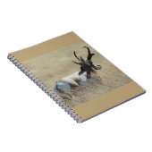 A14プロングルアンテロープサンシャインバック ノートブック (右側)