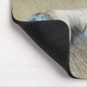 A14プロングルアンテロープサンシャインバック マウスパッド (コーナー)