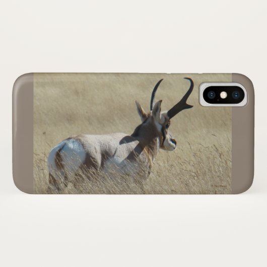 A14 プロングホーン アンテロープ サンシャイン バック Case-Mate iPhoneケース (裏面(横))