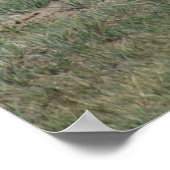 A15 プリンガン・アンテロープ 無礼な雄鹿 ポスター (角)