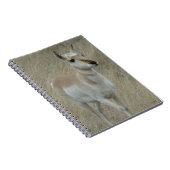 A17若いプロンコーンアンテロープ ノートブック (右側)