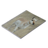 A17若いプロンコーンアンテロープ ノートブック (左側)