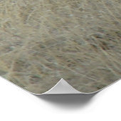 A17若いプロンコーンアンテロープ ポスター (角)