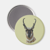 A19プロンコーンアンテロープ暗い顔バックヘッドショット マグネット (正面/裏面)