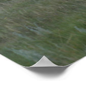 A2プロンコーンアンテロープ ポスター (角)