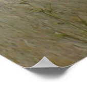 A22プロングルアンテロープビッグバック ポスター (角)