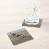 A22 Pronghorn Antelope Buck スクエアペーパーコースター (インサイチュ)