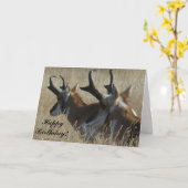 A23プロンコーンアンテロープ若いバックスのヘッドショット カード (黄色い花)