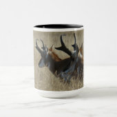 A23 Pronghornのカモシカのヤングバックのヘッド打撃 マグカップ (中央)