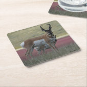 A24プロングルアンテロープ スクエアペーパーコースター (アングル)