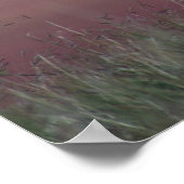 A24プロングルアンテロープ ポスター (角)