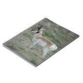 A26プロングルアンテロープバック ノートブック (左側)