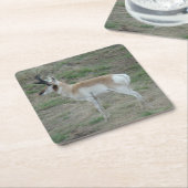 A26プロンコーンアンテロープ若いバック スクエアペーパーコースター (アングル)