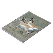 A27 コブ鹿の若いオス ノートブック (左側)