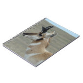 A29プロンコーンアンテロープ若いバック頭プロファイル ノートブック (左側)