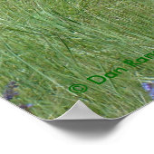 A3プロンコーンアンテロープ咀嚼バック ポスター (角)