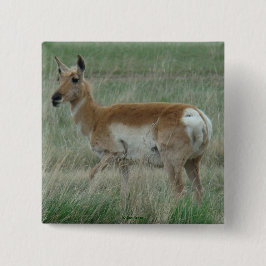 A31プロングルアンテロープドゥ 缶バッジ