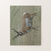 A33プロンコーンアンテロープ曲がった角 ジグソーパズル (縦)